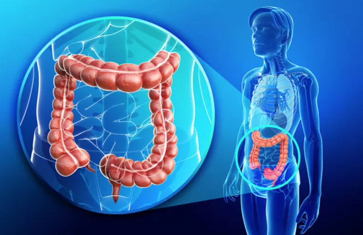 Coloscopie Endoscopie Du Colon Et Rectum Nantes Jules Verne Coloscopie Endoscopie Du Colon Et Rectum Nantes Jules Verne